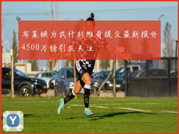 布莱顿为武什科维奇提交最新报价4500万镑引发关注